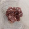 Aragonite cristallisée – Image 5